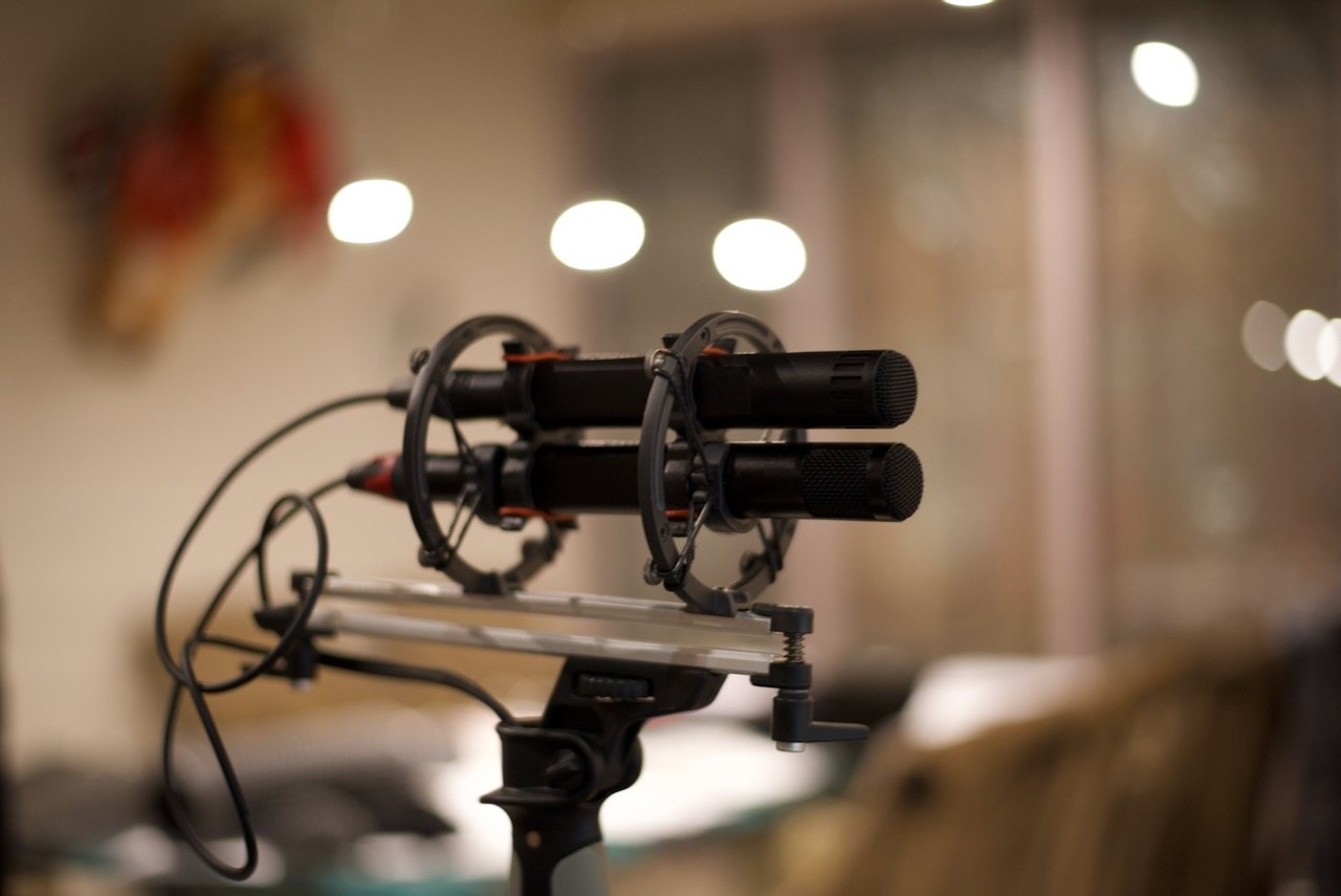 Stereo microphone pair